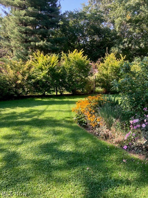 Dover Bay - Residential