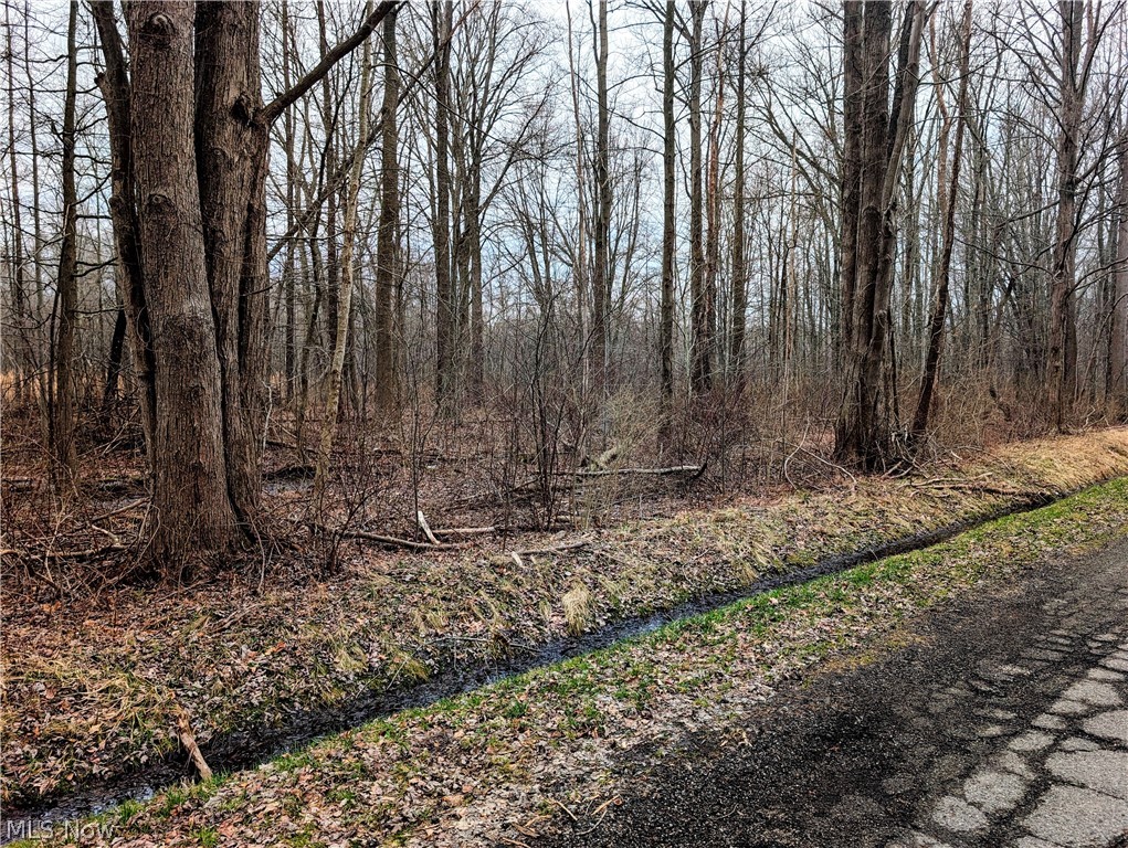 Madison-On -The-Lake - Land