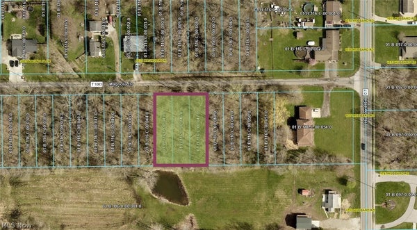 MAGNOLIA DR, MADISON, OH 44057 - Image f80ee3ebc3f313c6aa1fed2639a4497f/1969059356