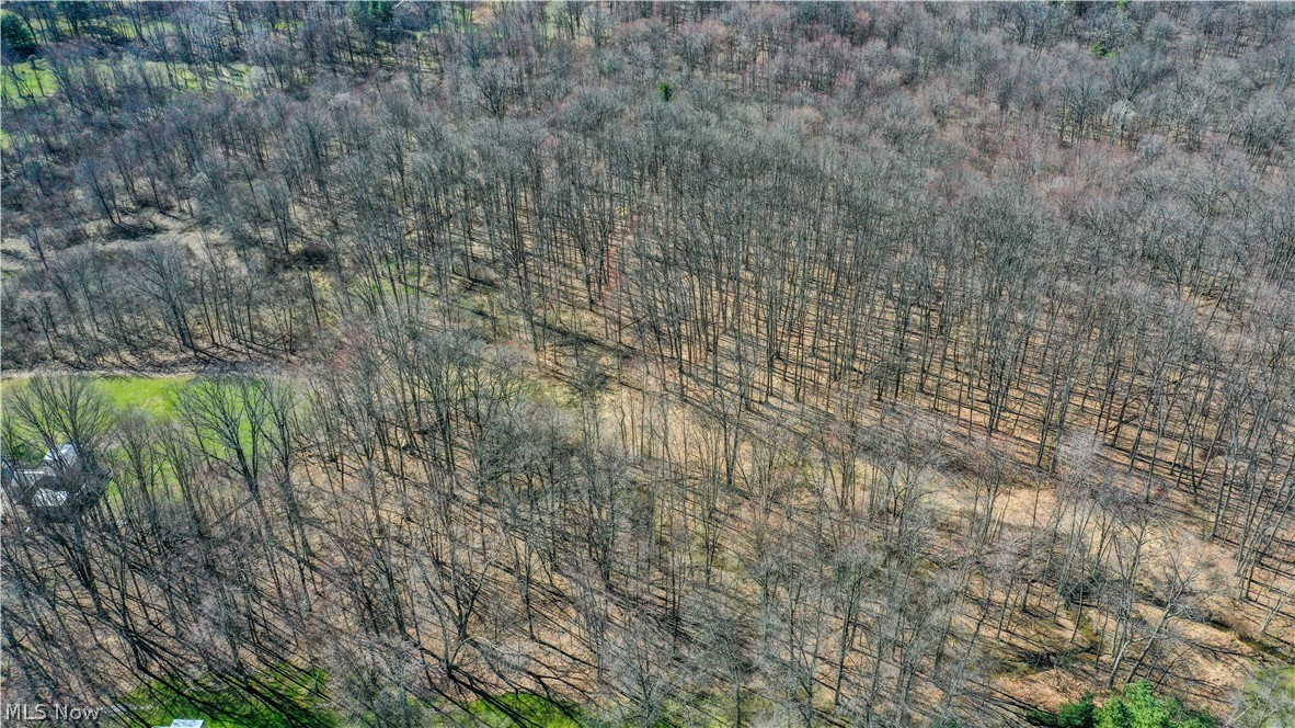 Canfield Township 04 Div - Land