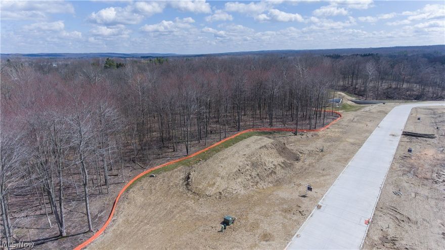 Welcome to The Estates of Arbor Creek newly developed communities tucked away in natures setting. ONLY 4 premium wooded lots remain and are prepped and ready. If your are working with your own builder we welcome all and if you need recommendations please feel free to contact us. Plats and neighborhood layout available upon your request.