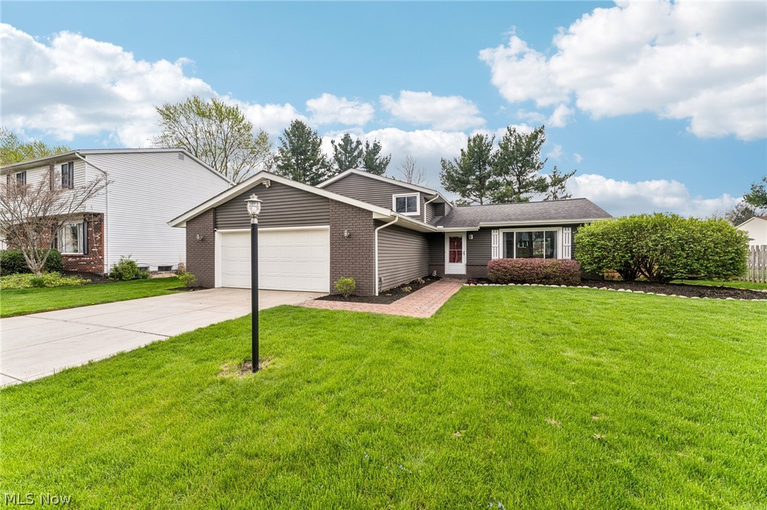 Webster Woods 01 - Residential