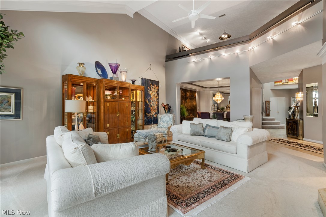 Forest Cove Condo - Residential