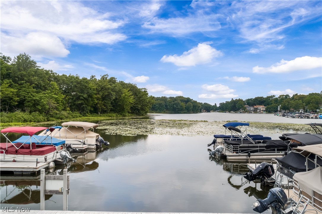 Forest Cove Condo - Residential