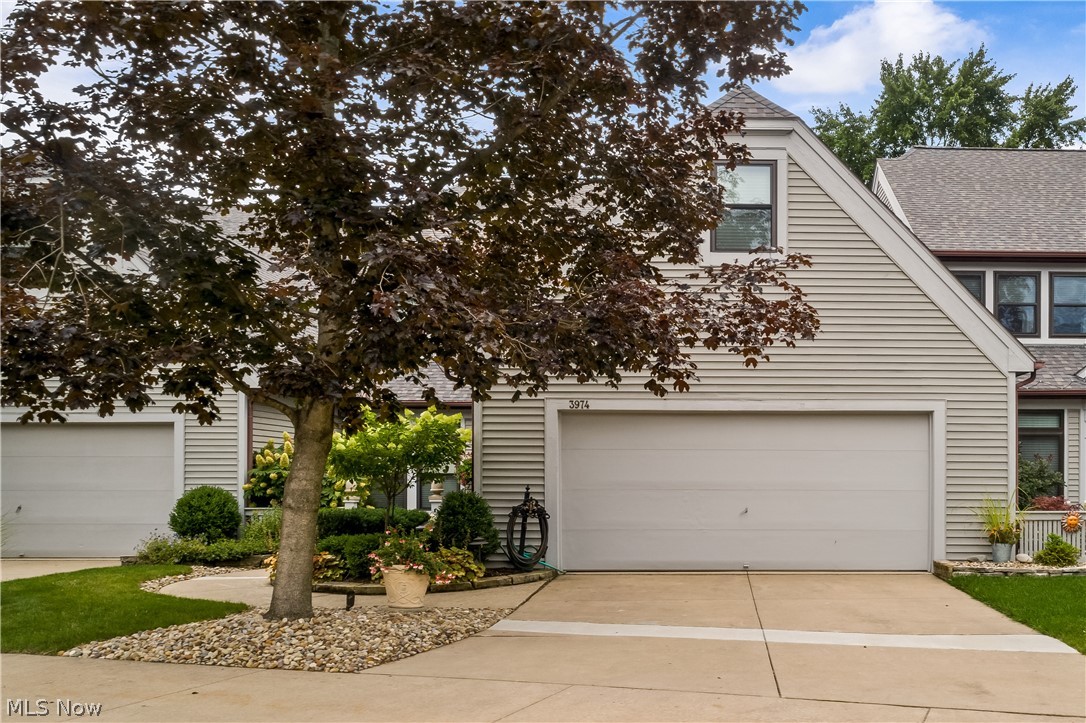 Forest Cove Condo - Residential