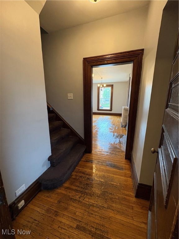 Kidds - Residential Lease