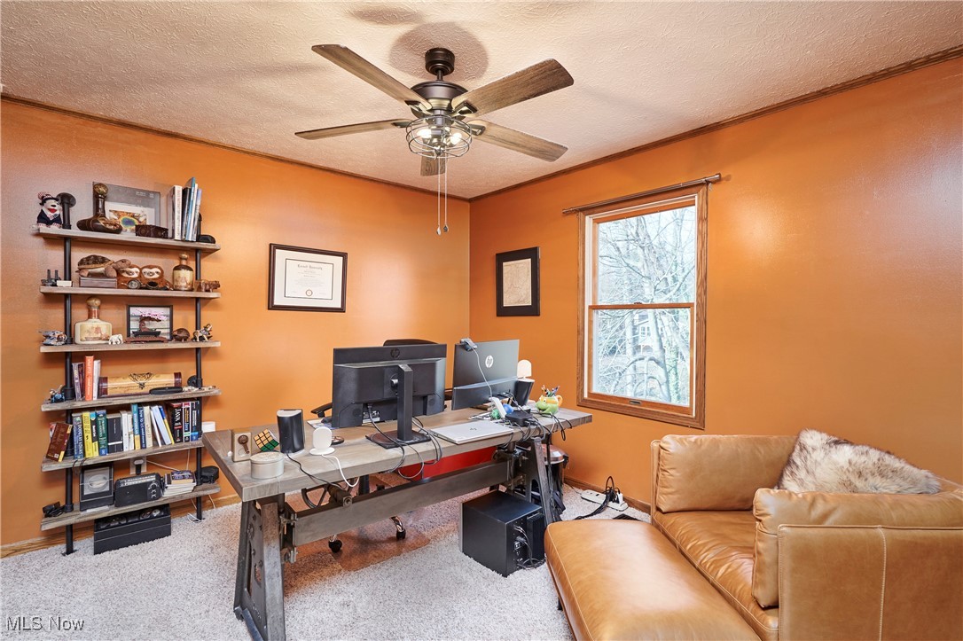 Turkeyfoot Heights - Residential