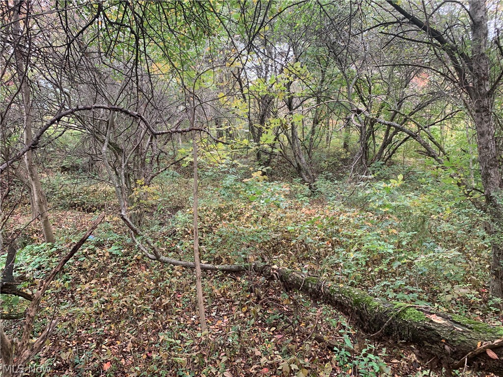 Lafayette 01 - Residential