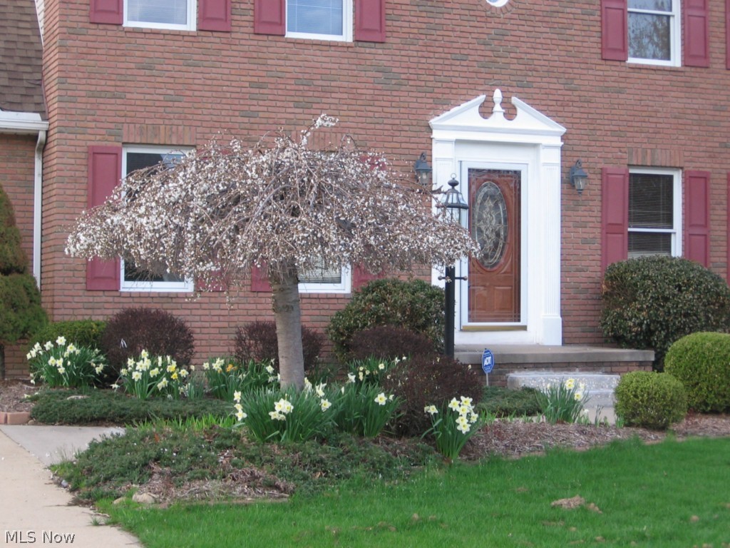 Deer Trace Estates - Residential