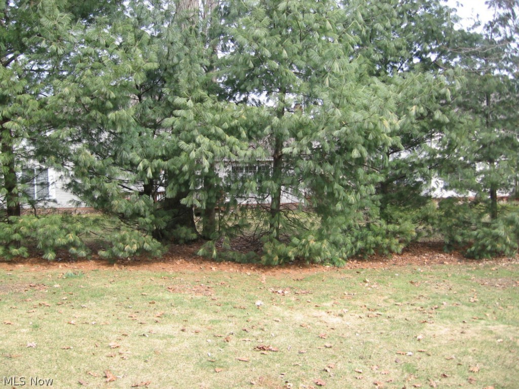 Deer Trace Estates - Residential