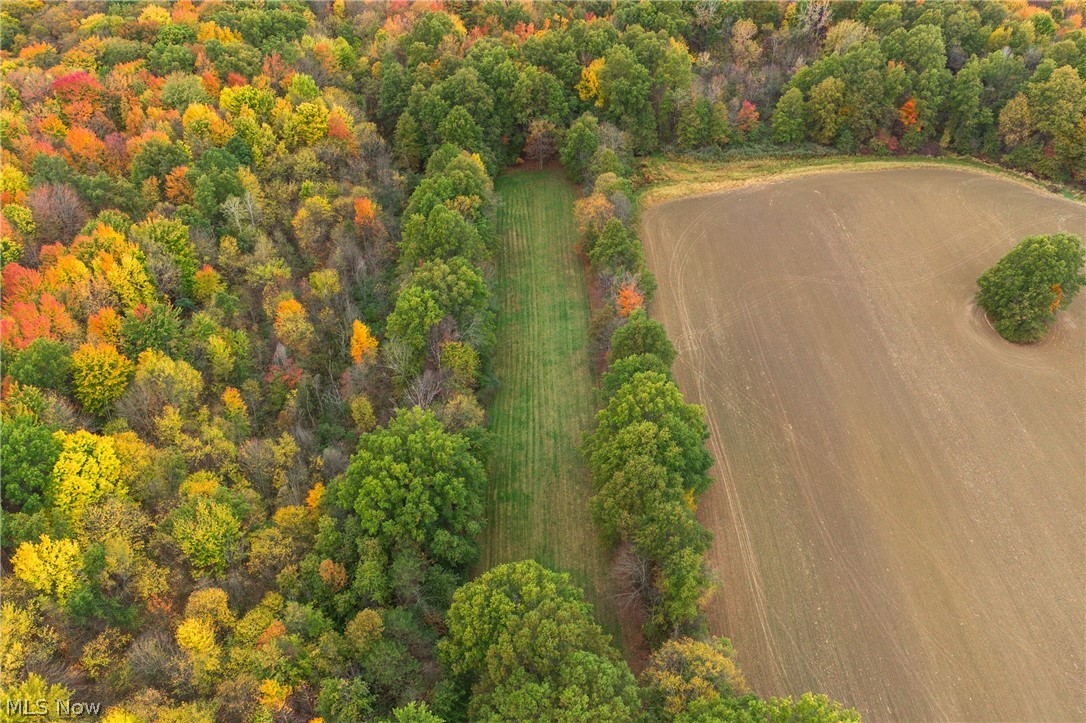 Township/Bazetta Sec 22 Origi - Residential