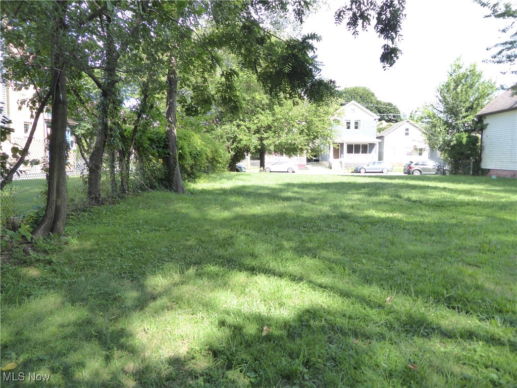 Detroit Shoreway - Land