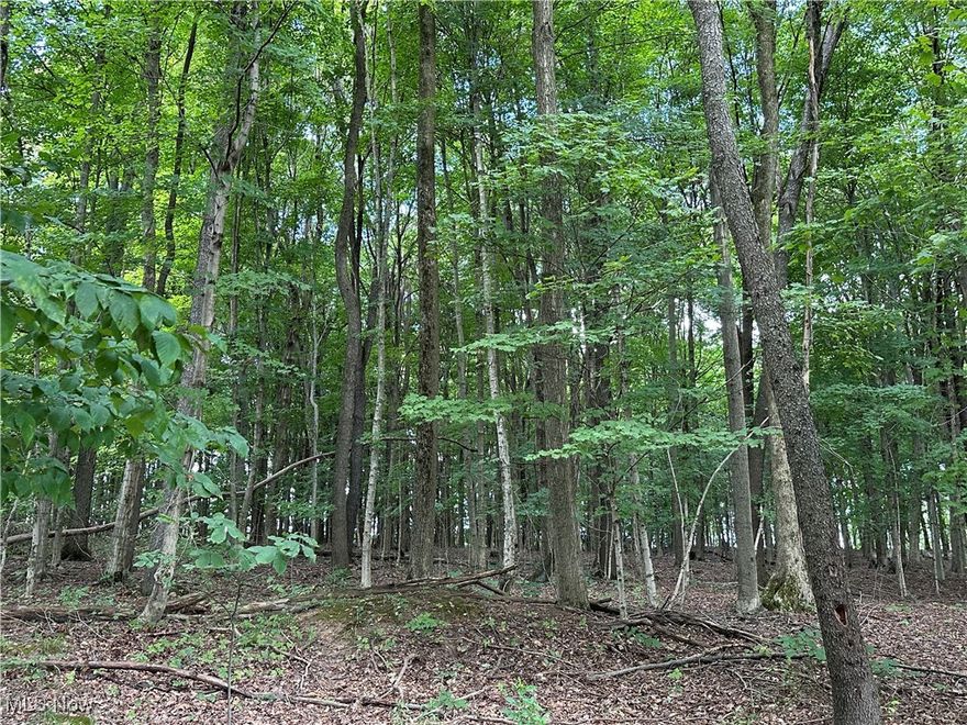 Offered at auction September 29 @ 5:30pm, Live and online. Parcel 2! 6.25 acres of 12.5 total acres. Adjacent to Parcel 1 is a very enticing 6.25-acre wooded parcel, offering incredible potential and flexibility. This buildable lot is located within the desirable Hillsdale Local School District and is ready for your vision—whether you're looking to expand your homestead, build your dream home, establish a weekend hunting retreat, or make a smart long-term investment. The property features mature, regenerating woodlands—selectively logged approximately 20 years ago—creating a balanced landscape ideal for wildlife, privacy, and future growth. With ample road frontage and natural beauty, this parcel offers both seclusion and accessibility. Opportunities like this are becoming increasingly rare!

10% non-refundable due day of the auction, a 10% buyer's premium will be added to final bid to determine purchase price. If sold separately, taxes are TBD.