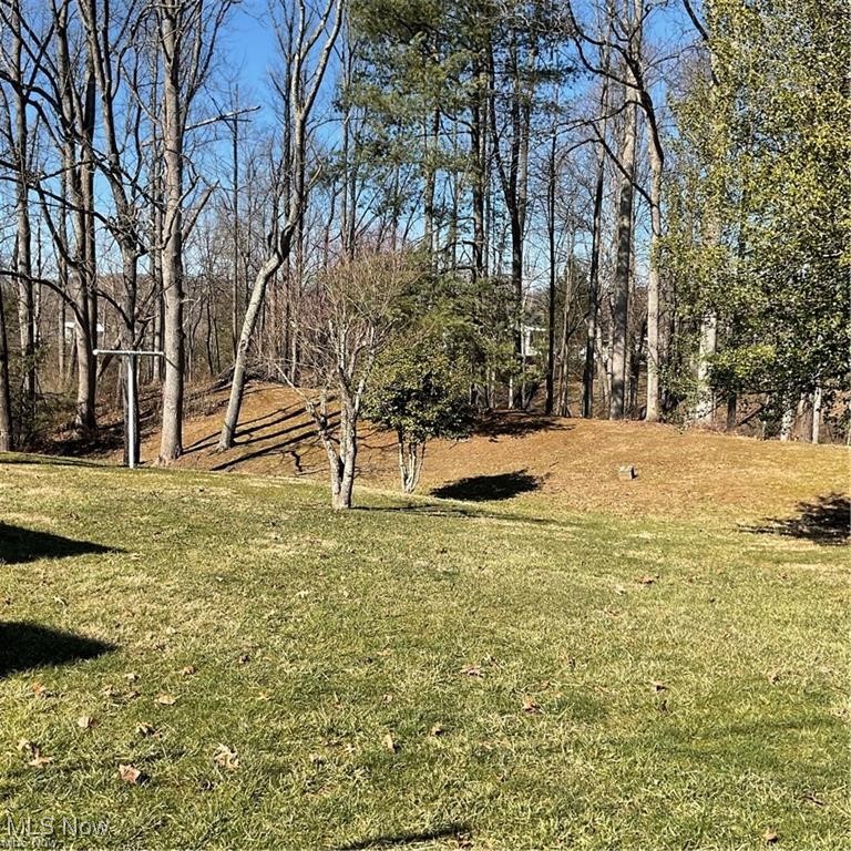 184 Meadowview Lane, Elizabeth, West Virginia image 29