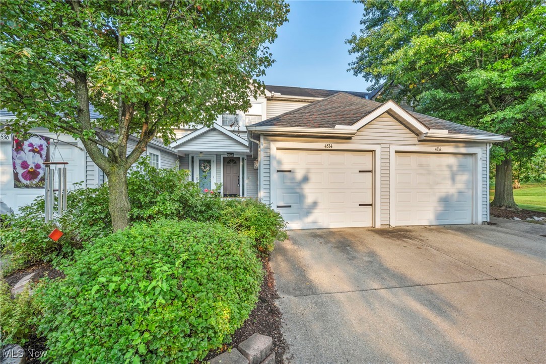 Puritas Park Twnhse Resid Develo - Residential