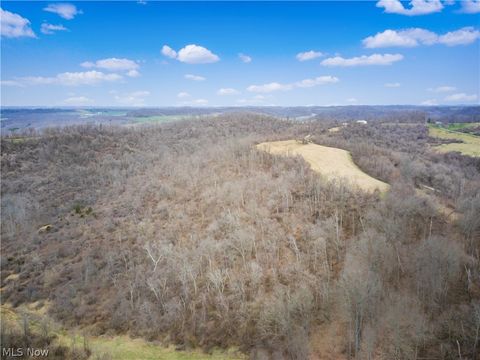 Tiny photo for Parry Hollow, Caldwell, OH 43724 (MLS # 5196299)