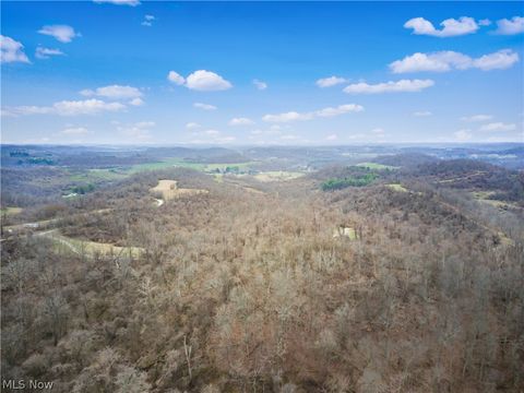 Tiny photo for Parry Hollow, Caldwell, OH 43724 (MLS # 5196299)