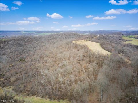 Tiny photo for Parry Hollow, Caldwell, OH 43724 (MLS # 5196299)