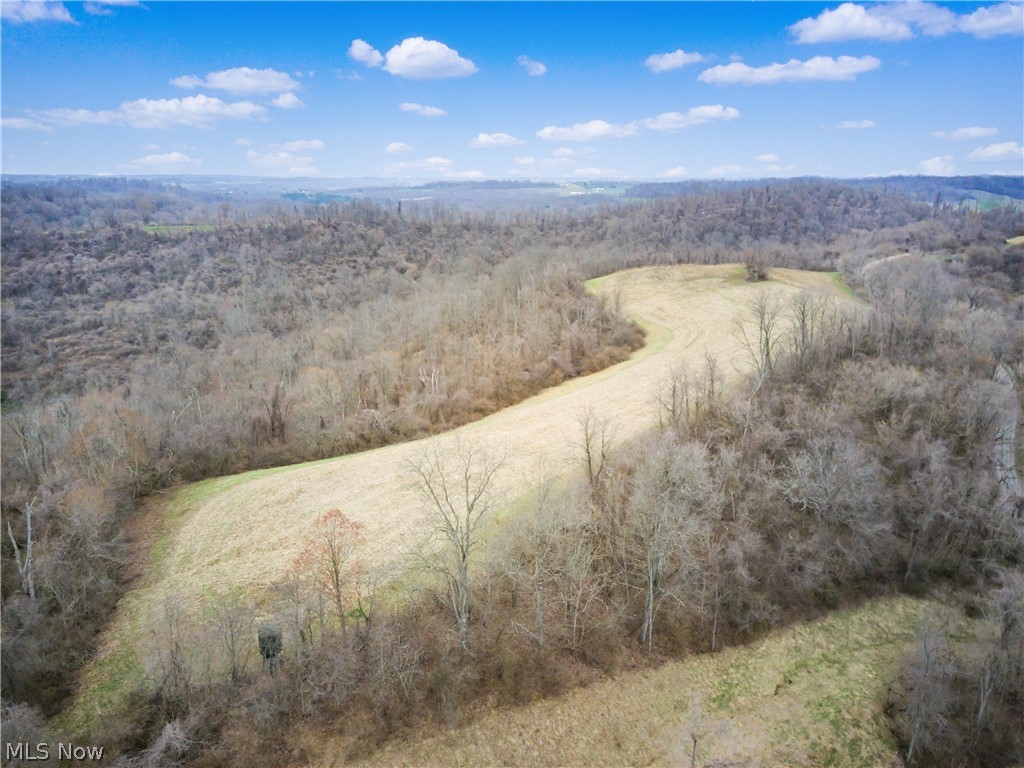 Parry Hollow