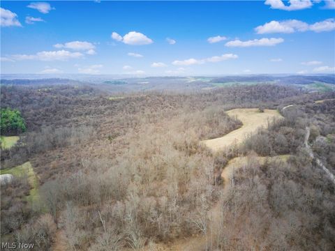 Tiny photo for Parry Hollow, Caldwell, OH 43724 (MLS # 5196299)