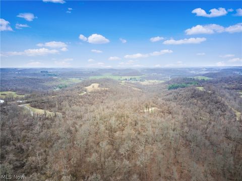 Tiny photo for Parry Hollow, Caldwell, OH 43724 (MLS # 5196299)