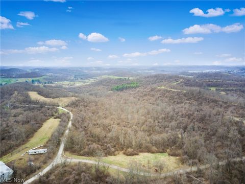 Tiny photo for Parry Hollow, Caldwell, OH 43724 (MLS # 5196299)