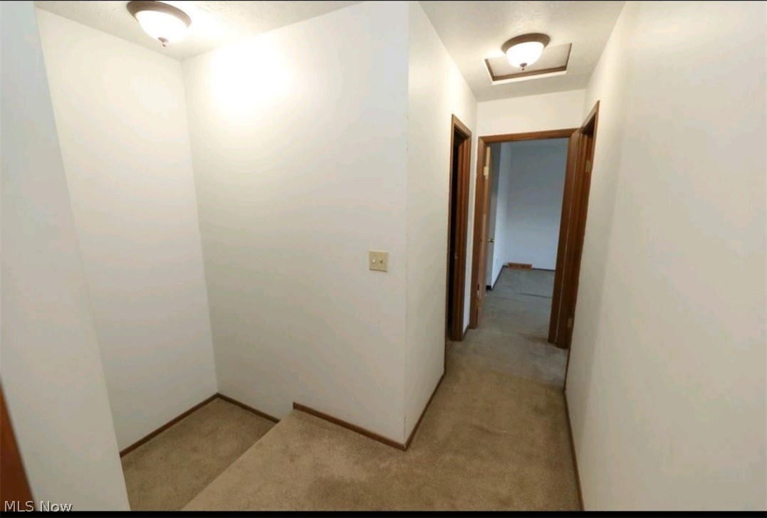 Big Turtle 02 Ph 08-10 - Residential