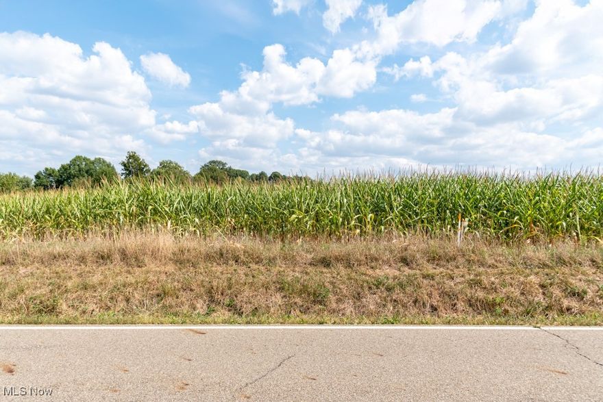 Exciting opportunity in Jackson Local Schools! Nestled on the western side of Jackson Township in a serene
setting with incredible views, this gently rolling, 5.09-acre tract may just be the perfect location to build your dream
home or could simply serve as an investment for the future. There is also a second parcel being offered right beside the 5.09 acres that comprises of 5.02 acres. A local farmer currently farms the land, and the crops are removed at the end of the season every year. Call today to set up a private viewing and explore the wonderful opportunities available within this gorgeous site!