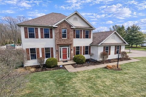 3495 Abington Court Brunswick OH 44212