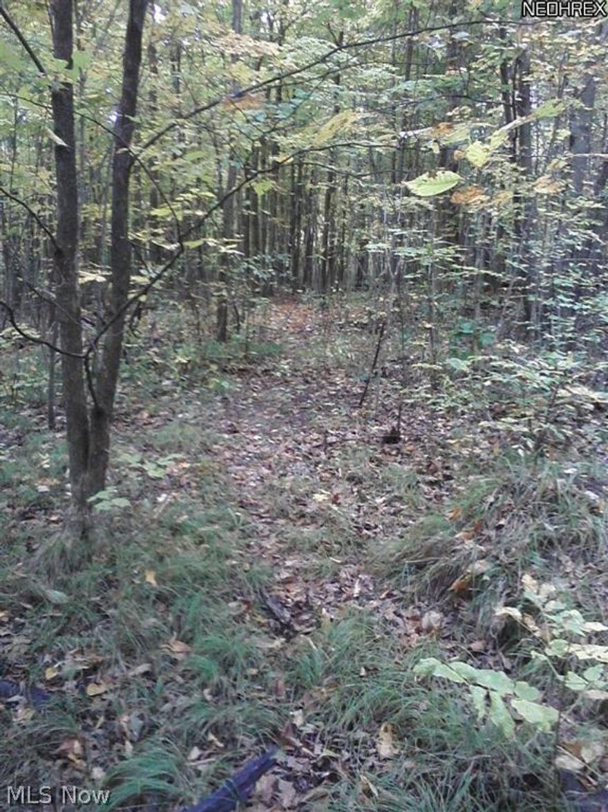 An abundance of wildlife on this stunning residential building lot with 5+ acres in Southington. If you're looking to build or just buy a nice piece of land look no more! You're welcome to walk the property but you may want to take some boots. The rear of the property continues past the creek and to the left. The tall pine trees are the division line on the left.