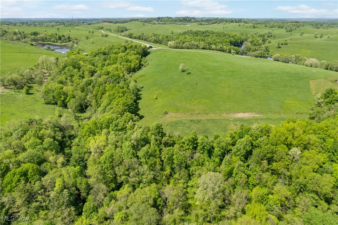 Cattle Drive Lot 5, Barnesville, Ohio image 6