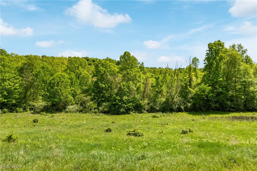 Cattle Drive Lot 5, Barnesville, Ohio image 4