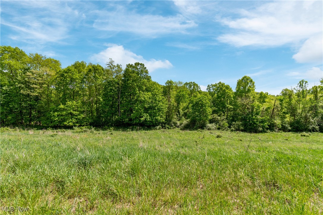 Cattle Drive Lot 5, Barnesville, Ohio image 3