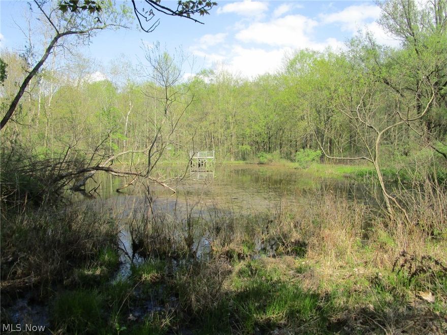 Come explore the potential offered by this wooded 10 acre oasis! Driveway has been installed and extends in to the property approximately 75' w/ a fairly solid base. The existing cabin has unfortunately succumbed to several winters but what a great spot to build your own...and begin making memories. (Please use caution and do not attempt to enter the cabin). There is a small shed and a picnic gazebo that just needs a little attention to restore it for future camp dinners! There's also an old hand water pump but the condition is unknown; the seller has not used it in many years. Stroll through the sun dappled woods and discover the large pond (approximately 1/4 acre - depth unknown) just waiting to offer years of swimming and fishing fun! Condition of the dock is unknown - please use caution. This was once a fun filled compound that provided years and years of happy memories - and its waiting for you to give it some loving restoration! Wildlife is abundant - make an appointment with your Agent and take a relaxing nature walk!