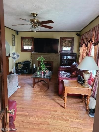 Niles City - Residential