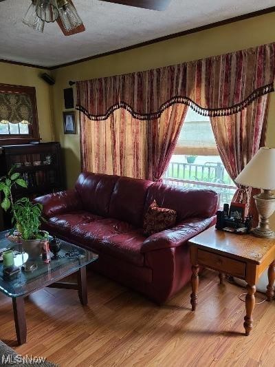 Niles City - Residential