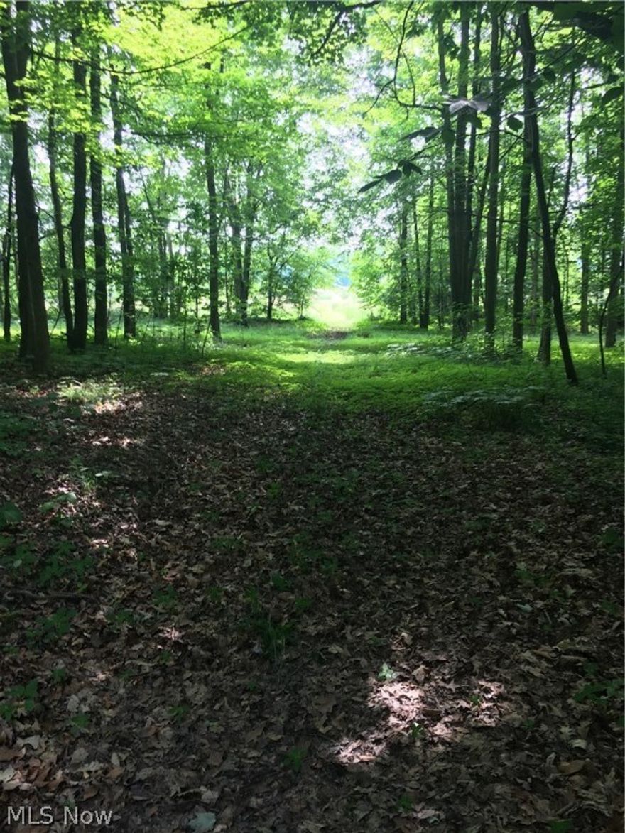 Beautiful lot.. Field in the front & woods in the back! Must See!!