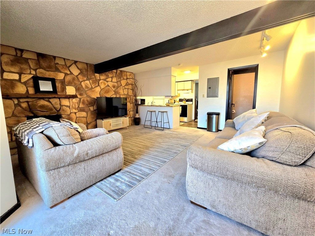 Timber Top Condo - Residential