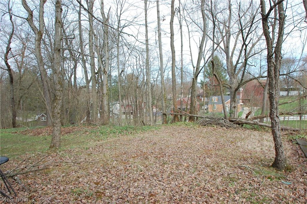 Photo of 980 W Laclede Avenue, Youngstown, OH 44511 (MLS # 5188022)