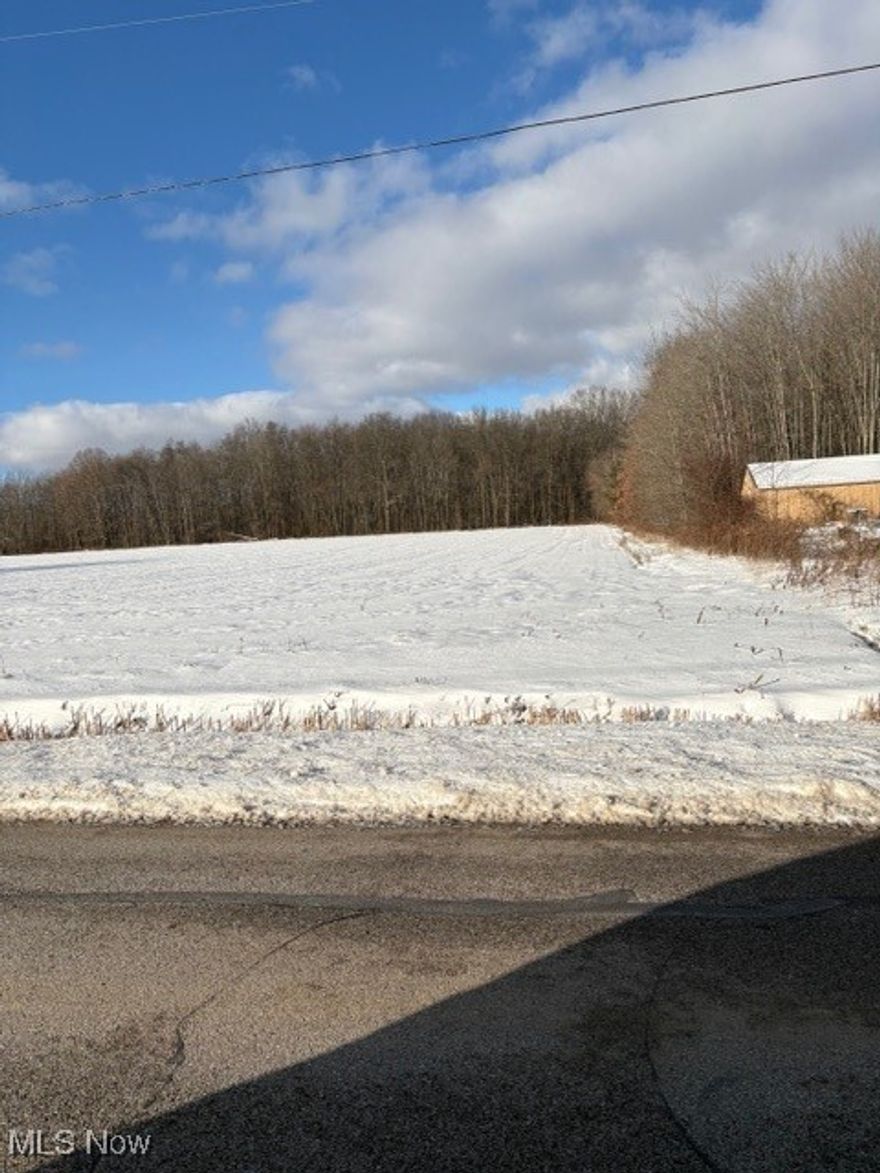 This exceptional 9.14-acre property offers the perfect blend of open, usable land and natural beauty. With almost 300 feet of paved road frontage, the parcel provides convenient access and an ideal setting for your future home or retreat.

Approximately 4 acres are tillable, making it a fantastic choice for small-scale farming, gardens, or hobby agriculture, while the remaining 5.1 wooded acres offer privacy, wildlife, and excellent hunting opportunities. Whether you are dreaming of a homestead, a recreation getaway, or simply room to breathe, this property delivers.

Located in the Jefferson School District, the land is just moments from Route 11, offering quick travel to nearby amenities. Enjoy the proximity to Lake Erie, shopping centers, wineries, and local attractions, while savoring the peace and quiet of rural living.
 
Perfect for a homesite, farming, hunting, or investment, this property combines location and potential in one outstanding package.