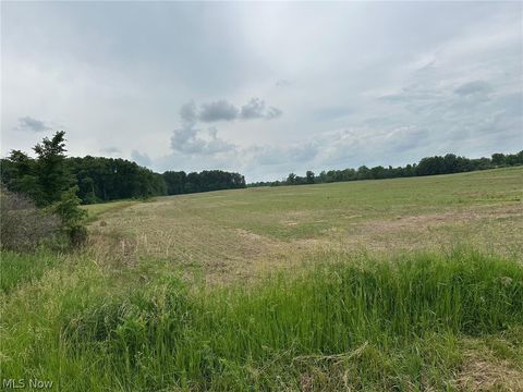 Vacant Land For Sale - 570 Co Rd 175<br/> Ashland County, West Salem, OH 44287