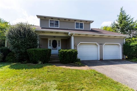 Homes For Sale - 393 Cunningham Road<br/> Salem, OH 44460