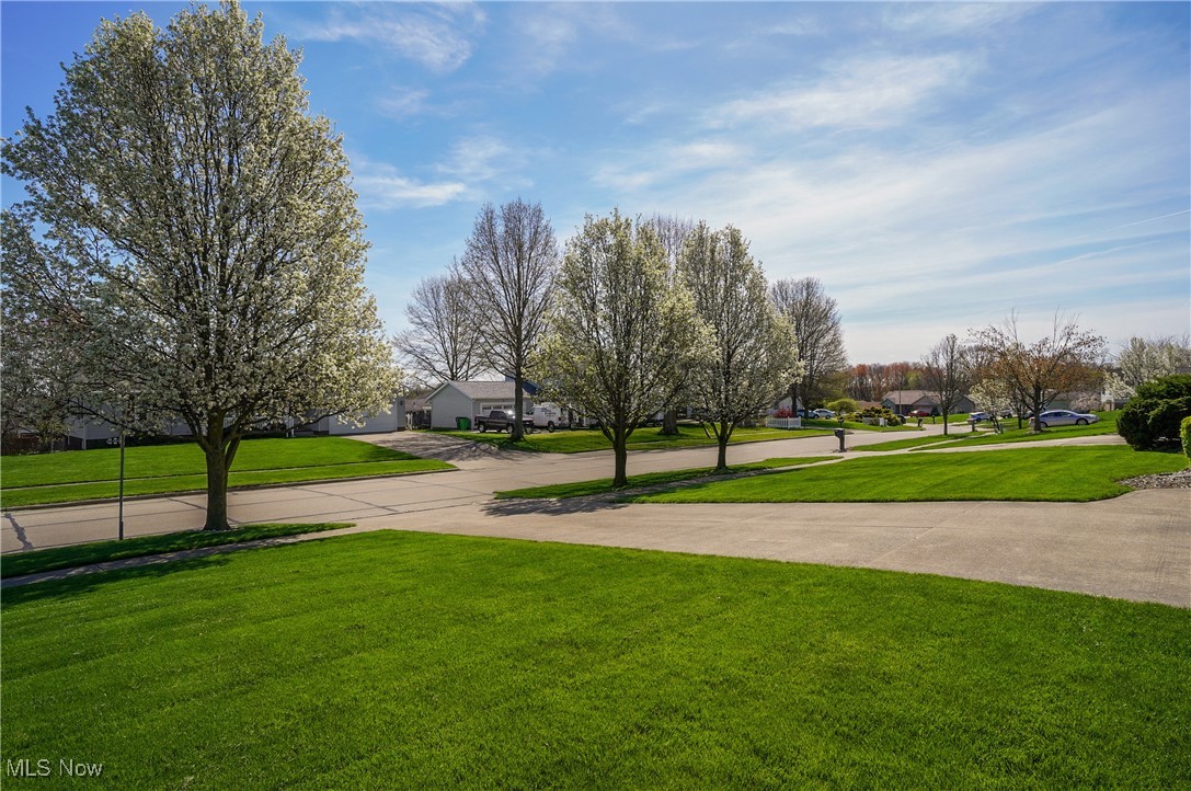 1464 Heartland Avenue, Orrville, Ohio image 30