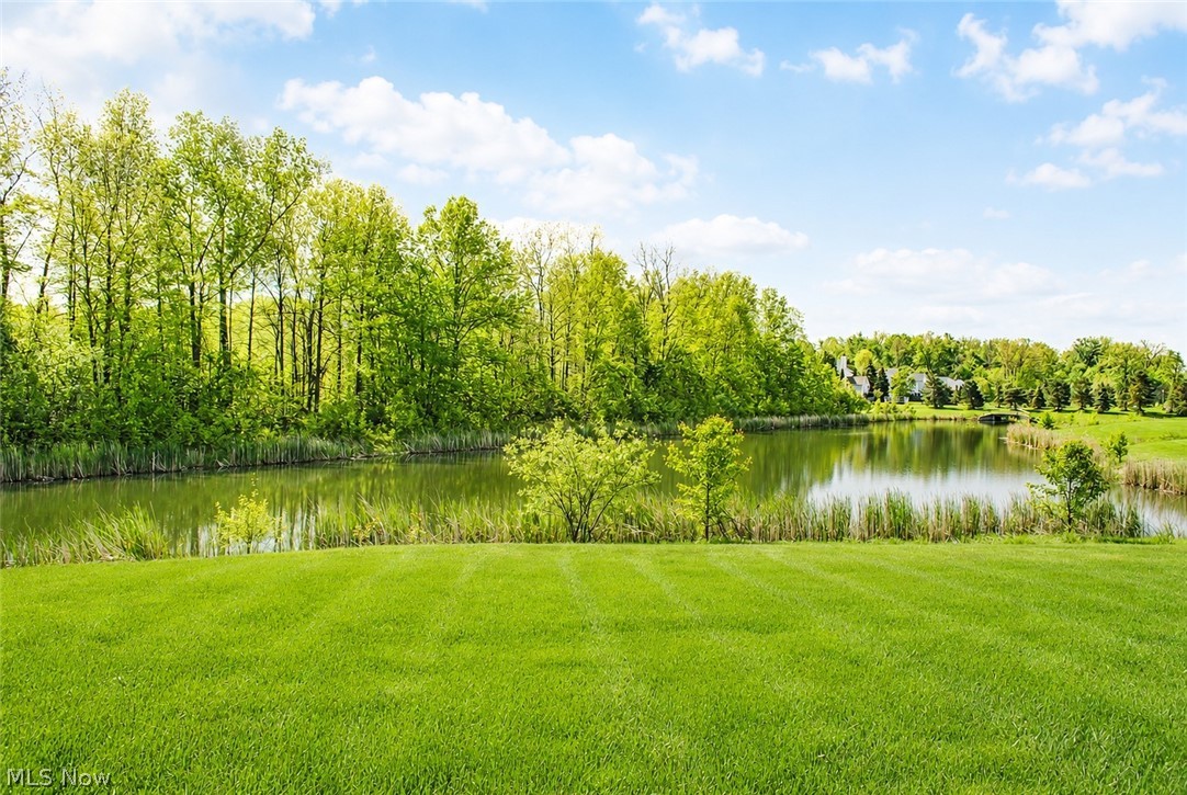 The Village at Ashton Place - Residential