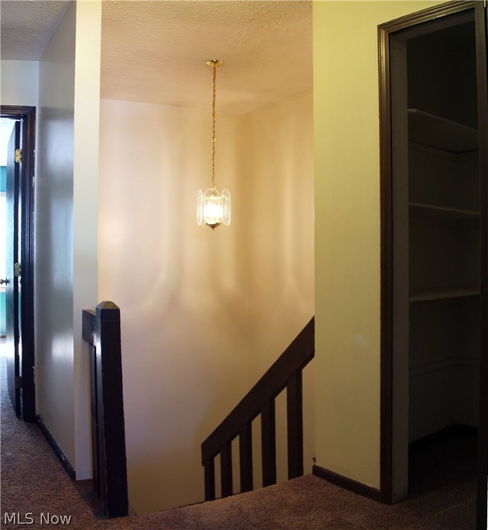 Mesa Grande - Residential