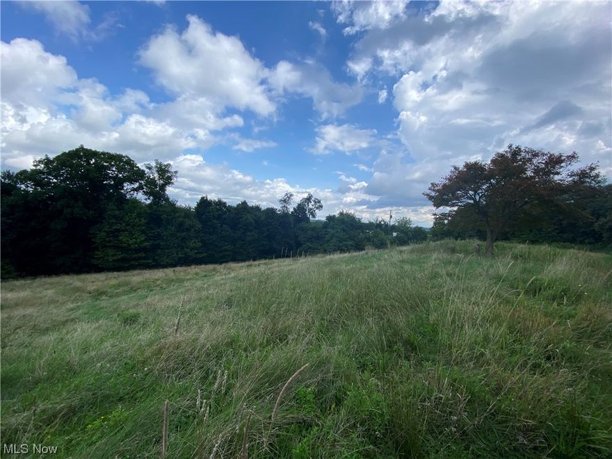 Outstanding 3.043 acre lot in a very busy commercial area close to the Ohio Valley Mall and the Plaza, so it could possibly be used for apartments, restaurant, or retail businesses of many kinds. It could also possibly be used as Residential as there was a duplex on the property previously. Ideal location on the highly travel National Rd close to the intersection by the Plaza. Businesses there included Stewart's RV, AutoZone, Whitesides, West Texas, and DeFelice Pizza. Don't miss out on this on this great business opportunity, it is just waiting for all your creative ideas.