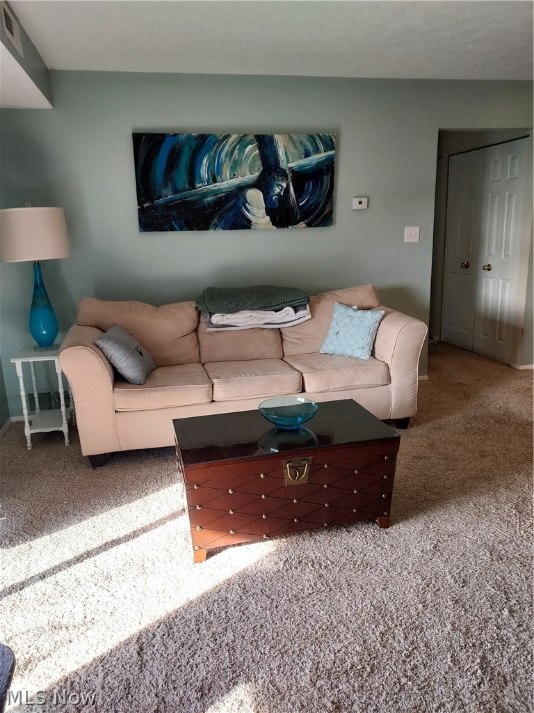 Mistly Lake Vlg/Mdws Ph Condo - Residential