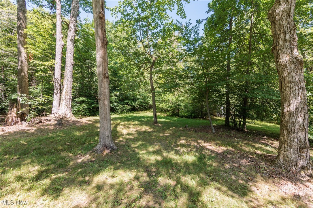 Richfield, Ohio 44286, United States, 3 Bedrooms Bedrooms, ,3 BathroomsBathrooms,Residential,Active,190038