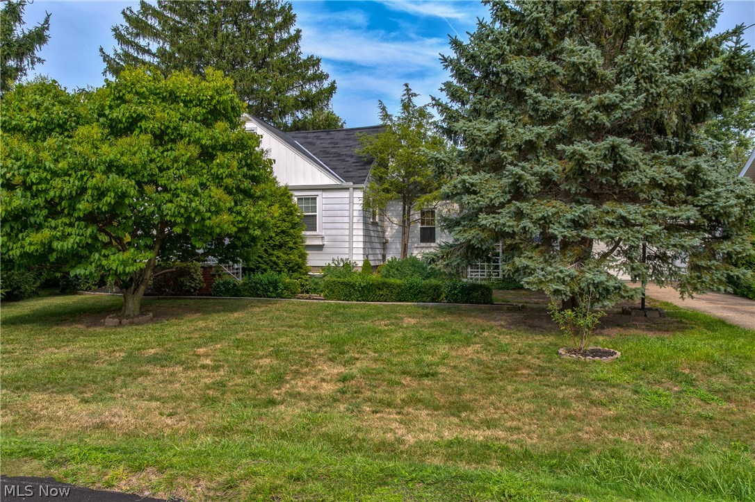 Forest Dale - Residential