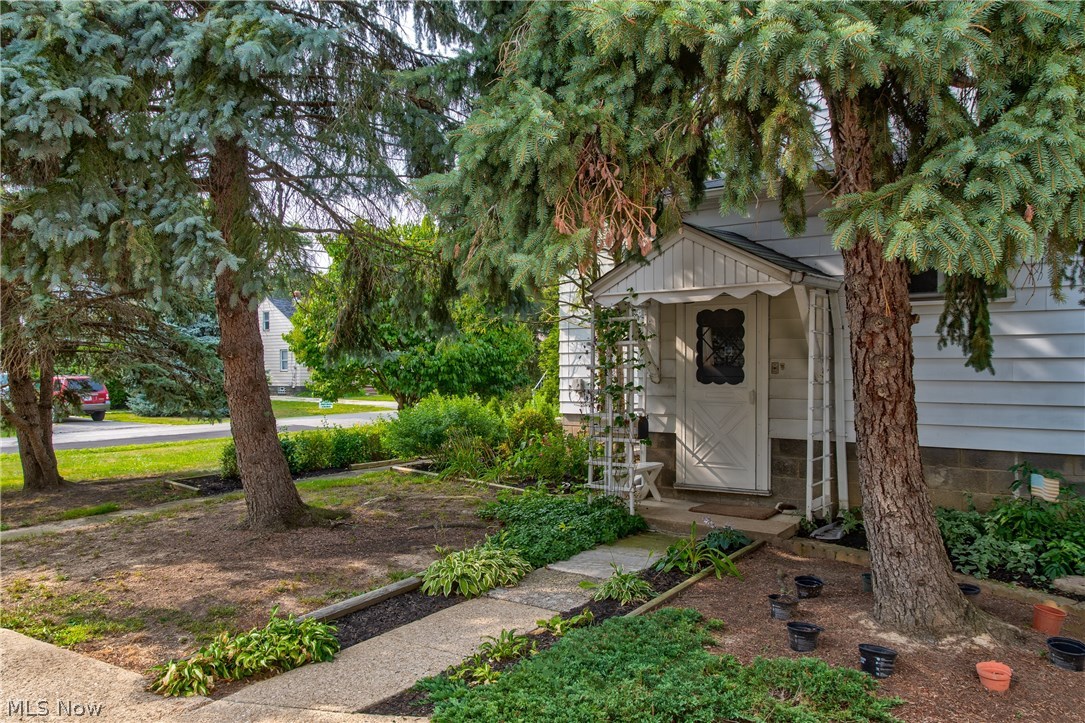 Forest Dale - Residential